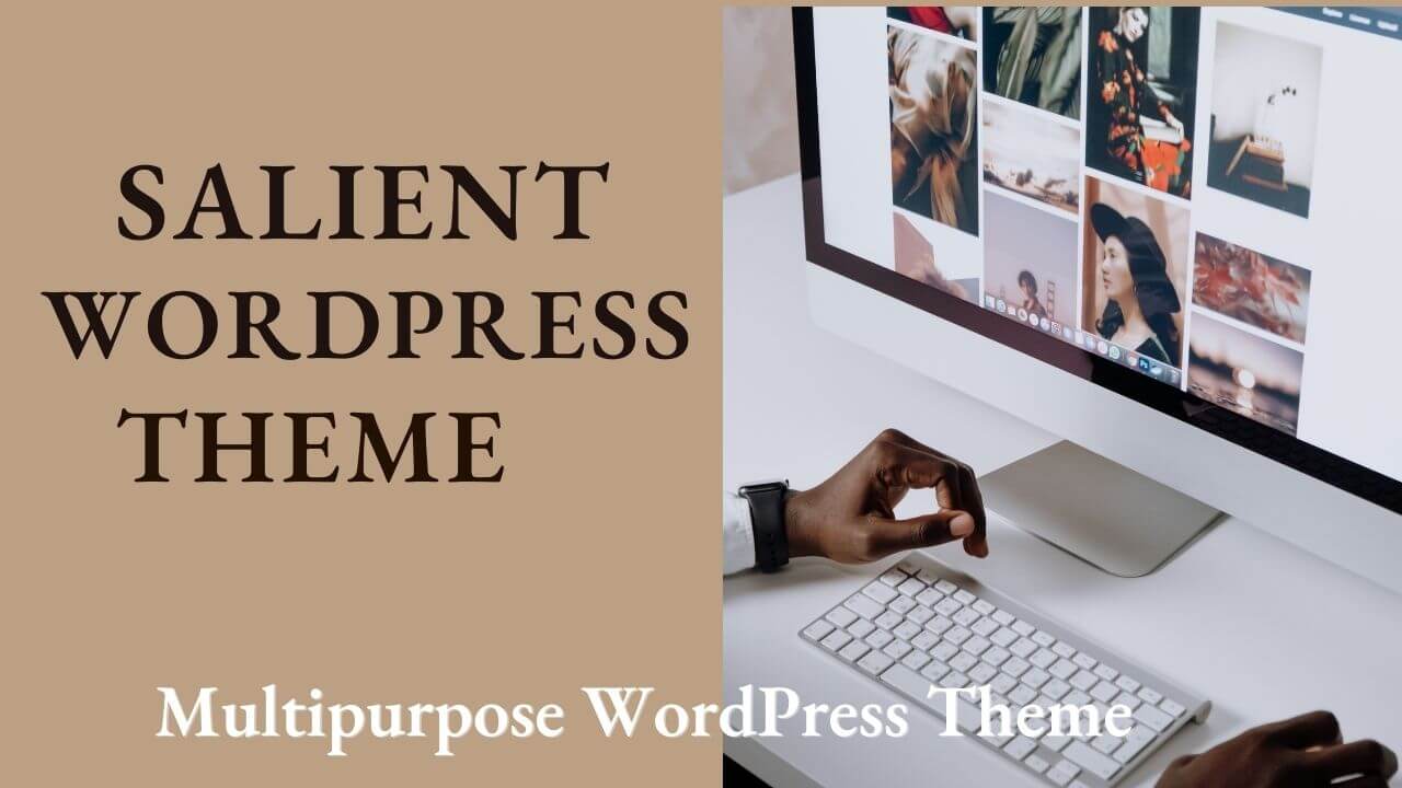 Salient WordPress theme